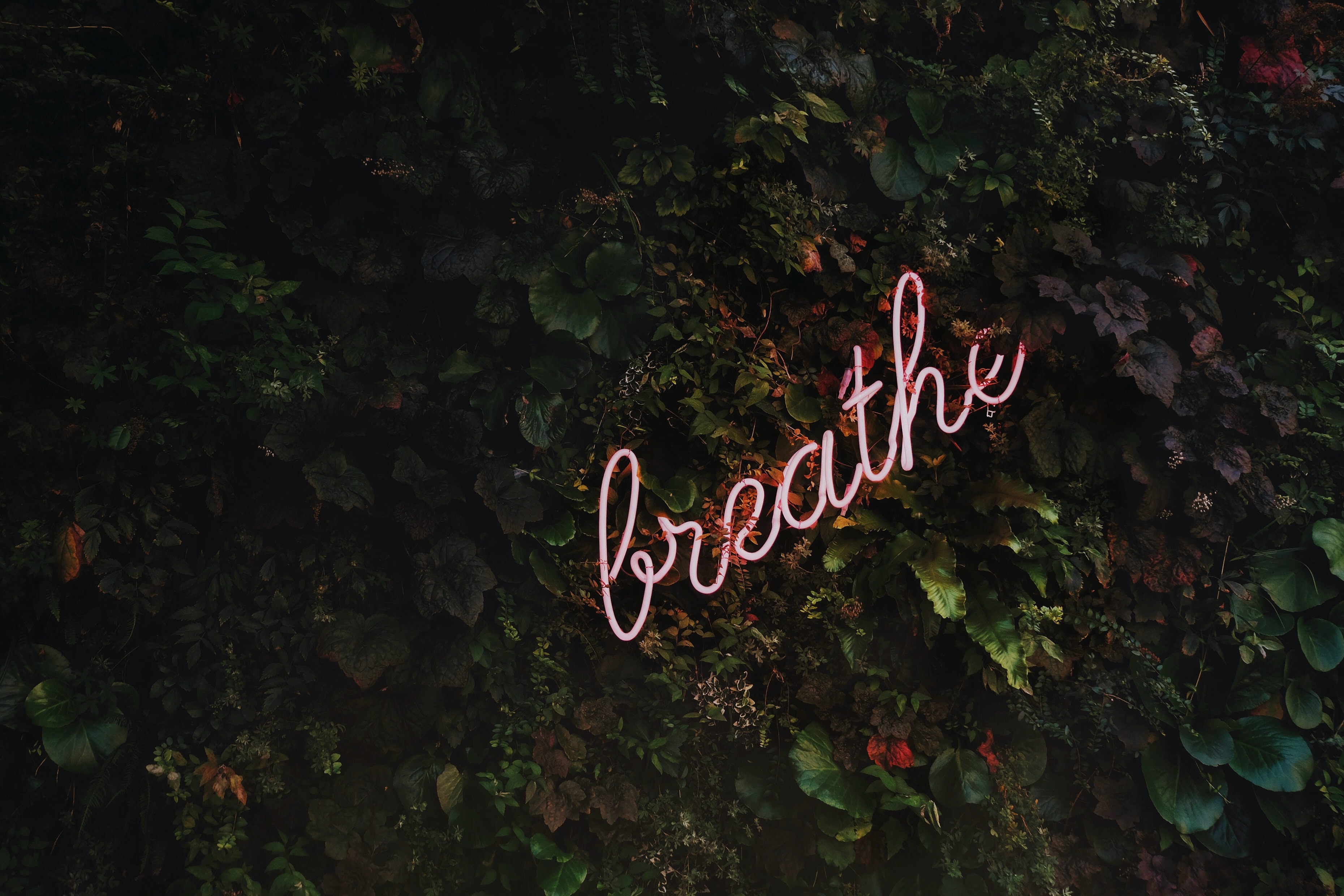 breathe, health coaching, Alison Crow